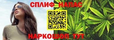 стафф Можга