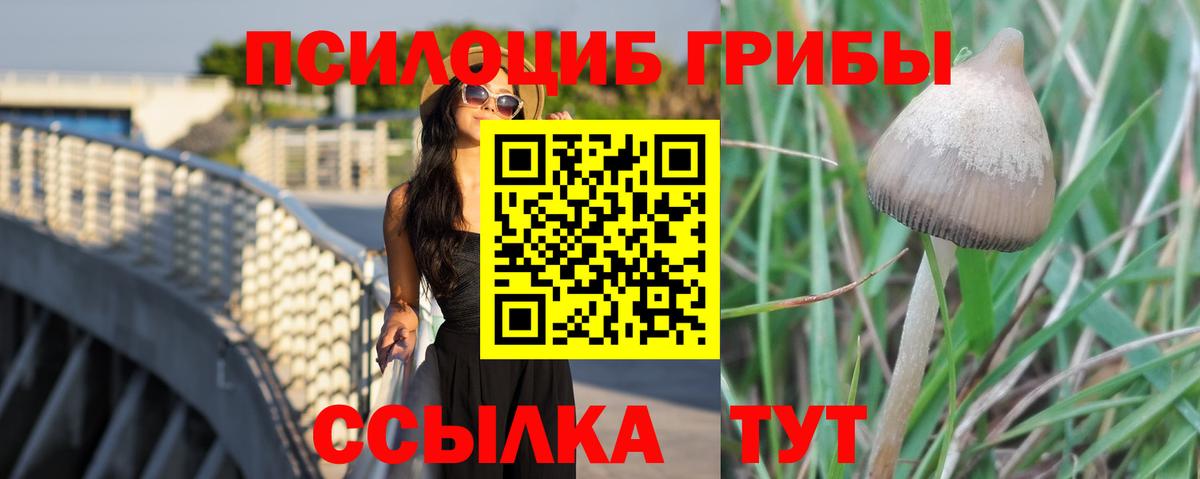 Щёлково  сколько стоит  Вход с VPN  Псилоцибиновые грибы MAGIC MUSHROOMS 