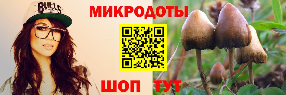 Псилоцибиновые грибы мухоморы Щёлково